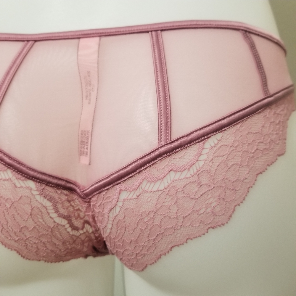 VS Dream Angels Rose Lace & Mesh Cheekini NWT - Picture 6 of 10